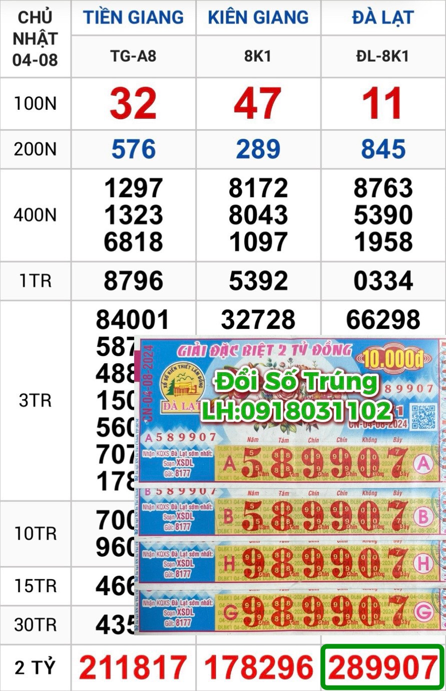 2024年12月10日 第117页